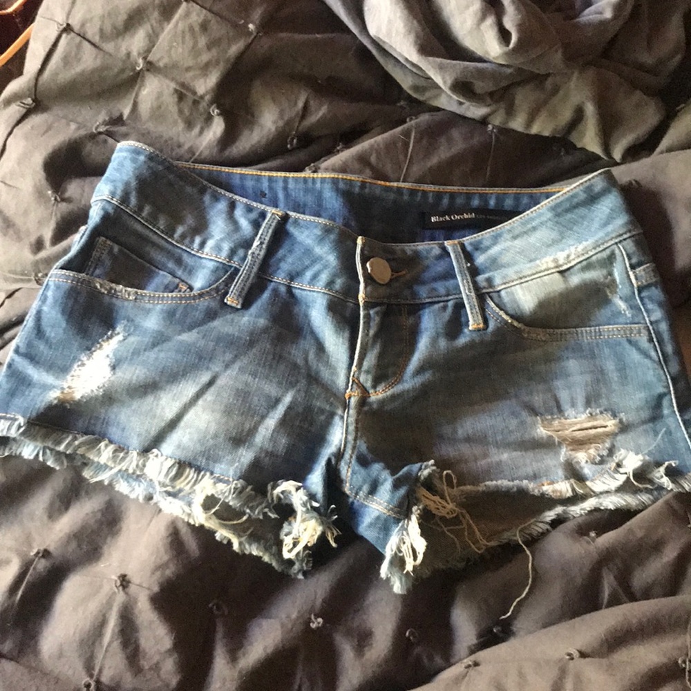 Brand new!! Black Orchid jean shorts 24